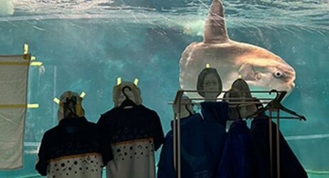【マジかよ】休館した水族館のマンボウが体調を崩す→水槽に張り付けたスタッフを用意したら元気を取り戻す！！