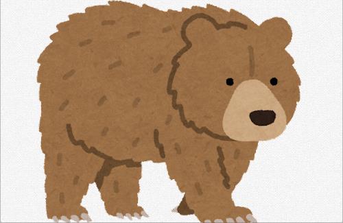 ツイ(X)民さん『1m強のヒグマなら倒せるやろｗ』→動画視聴後→『これは無理や・・・』