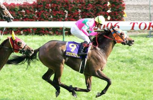 【訃報】2006年牝馬2冠・カワカミプリンセス、死去　20歳