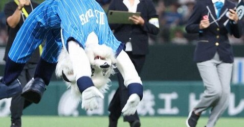 【ヤバイ】西武マスコット『レオ』がバック転でギネス世界記録達成ｗｗｗｗｗ