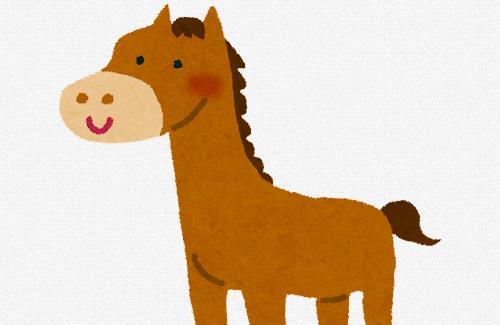 ナイスネイチャの「バースデードネーション」過去最高額を更新！