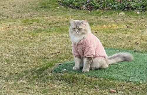 悪質すぎるAI使いが話題に…