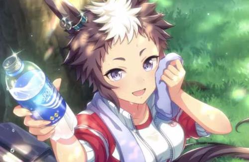 【悲しい】ウマ娘・メジロライアンのフィギュアがワゴンへ…