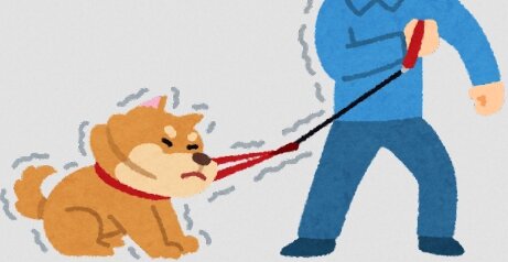 犬を飼う事で認知症リスクが4割も低下する事が判明！猫では変わらない！