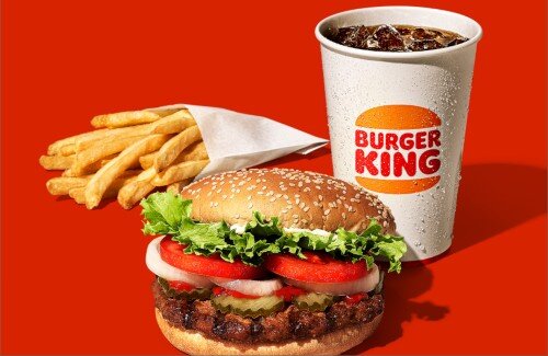 X民さん『バーガーキングとかモスを過剰に持ち上げる奴らマジでキモい』