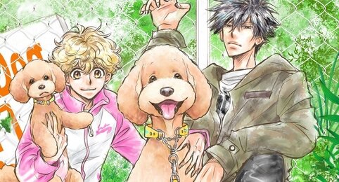 みやうち沙矢『DOG SIGNAL』がEテレでテレビアニメ化決定！2023年秋放送