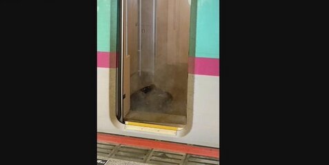 仙台駅・東北新幹線で薬品漏れか、3人けがで東京行きは運休に