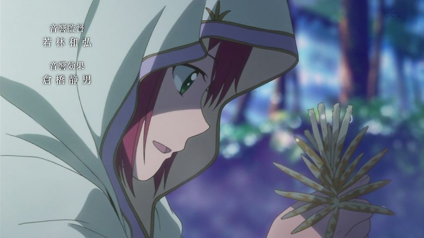 赤髪の白雪姫 1話 出会い 色づく運命 実況まとめ あまのじゃく嗜好 赤髪の白雪姫 1話 出会い 色づく運命 実況まとめ あまのじゃく嗜好