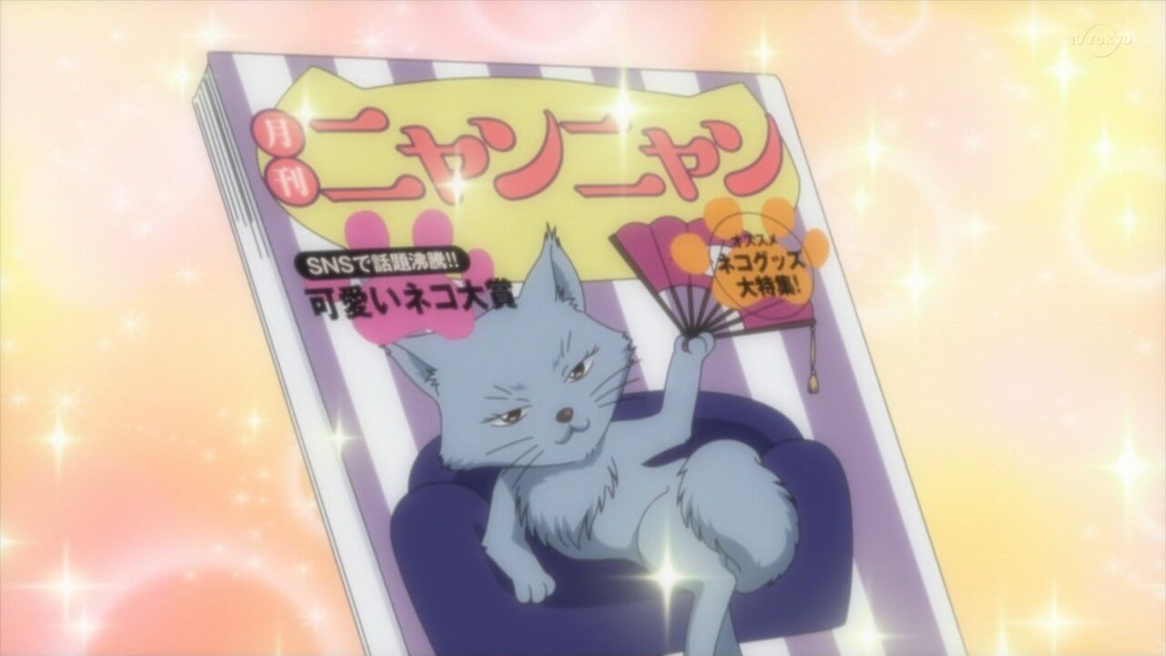 パズドラ 1話 モデル対決 マタタビの罠 実況まとめ あまのじゃく嗜好