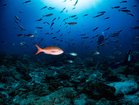 【動画】メキシコ人さん、駐車場で車の停め方トラブルトラブル