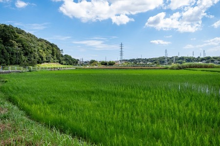 横浜市の西側wwwwwww