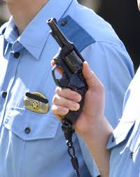 【悲報】クマ、警官の拳銃は効かない…