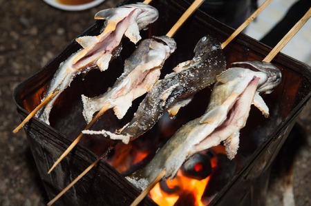 「焼魚」「煮魚」←こいつら、、