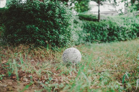 キングカズ、去就