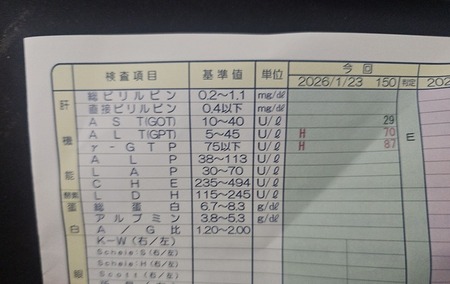 【悲報】ワイの肝臓、ガチで逝く