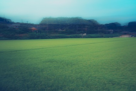 結局もう日本には秘境村みたいなのって無いよな