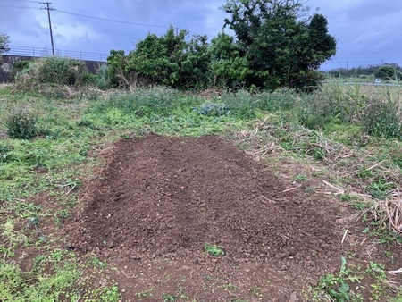 ワイさんの家庭菜園わりといい感じになる