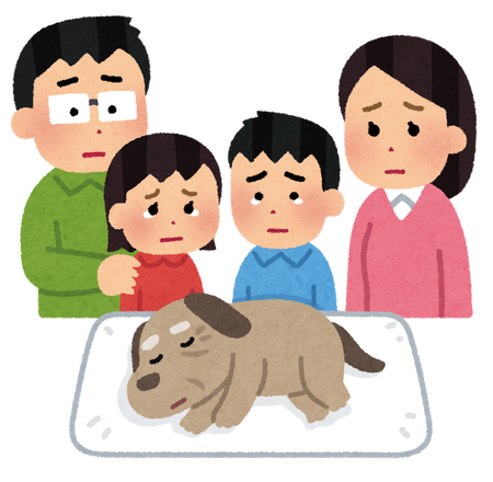 pet_kazoku_mitoru_dog