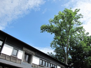 hira022483