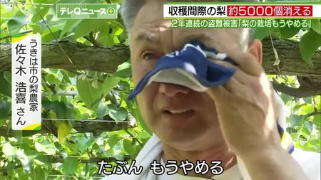 【悲報】梨、すべて奪われる