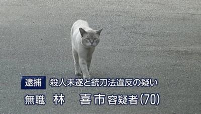 4NTiNiP