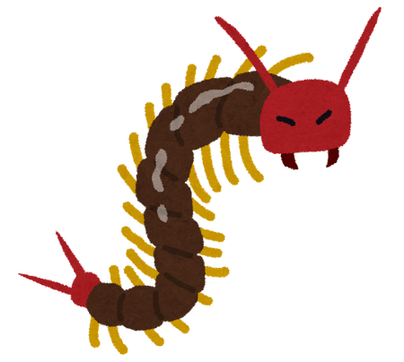 bug_mukade