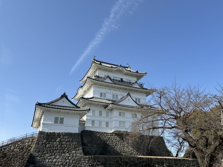 ab579615p8