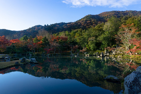 京都観光ってどこ回ればええんや？
