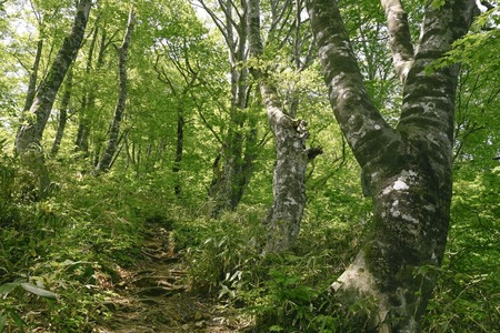 登山家「山を舐めるな（怒）」