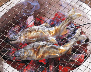 hirame096419