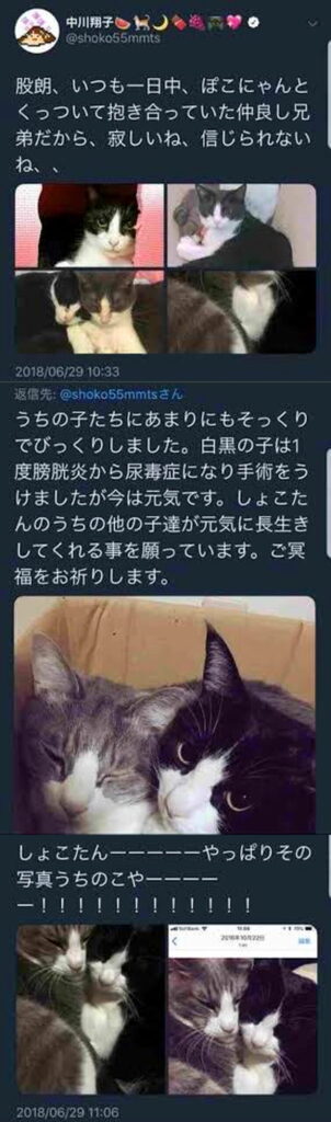 中川翔子「友人が妊娠祝いに送ってくれた、冒頭で買えたと発言したのは誤解を招く発言だった」