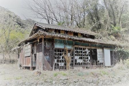 o0510034014537795540
