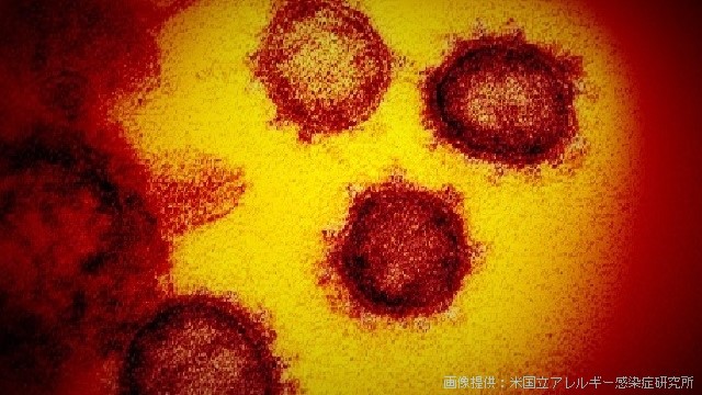K10012346701_2003241214_2003241214_01_02