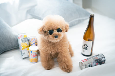 【悲報】アル中YouTuberのゼパちゃん、亡くなる