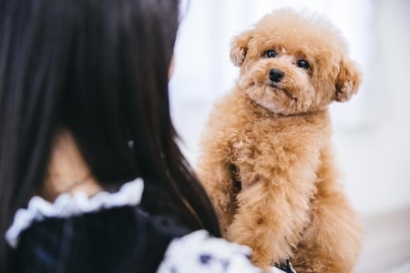 【犬報】犬を飼った方が認知症を抑えられるという論文が出る