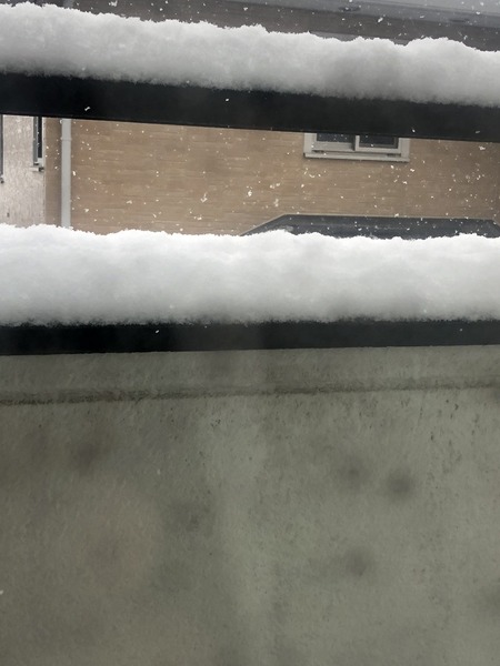 東京、雪が積もり絶望