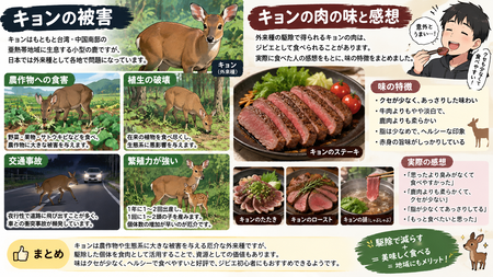 【悲報】キョン、北へ