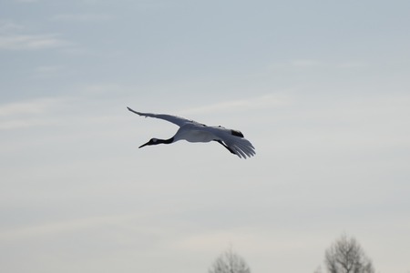【画像】初北海道でいろいろ写真撮ってきたでー