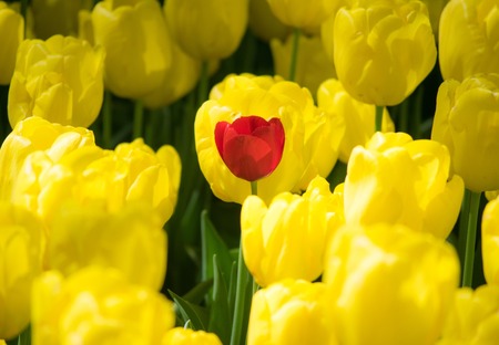 いじめ、また発見される