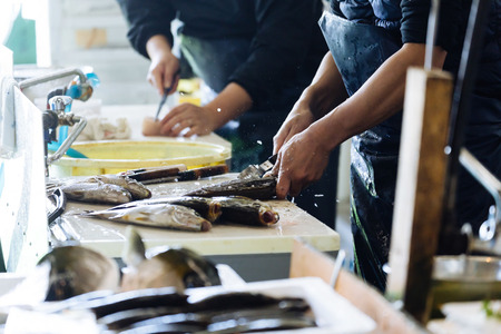 【悲報】魚、誰も食べなくなる　日本人1人当たりの年間魚介類消費量が22kgで過去最低に…