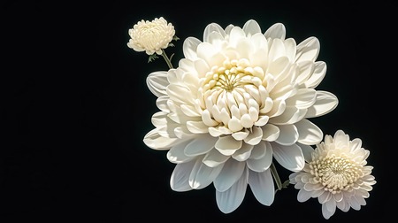 【悲報】葬儀屋さん、見積もりから10倍になっただけで槍玉に上げられてしまう…