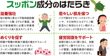 すっぽん鍋食ったことある奴おる？
