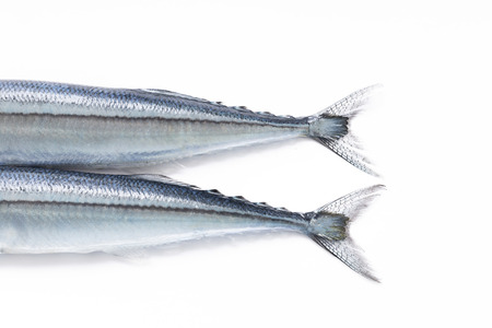 自称食通「魚は内臓が美味い」とかいってサンマの内臓食うやつ