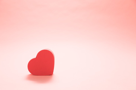 valentinePAKU2831_TP_V