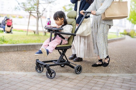 【悲報】子供を持つこと＝嗜好品・ぜいたく品だった