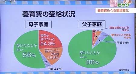 【悲報】養育費ゼロの母子家庭、なんと56%もいた模様wwwwwwwwwwwwwwwww