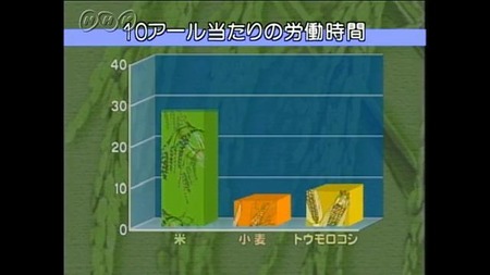 米←こいつが主食にふさわしくない理由が判明