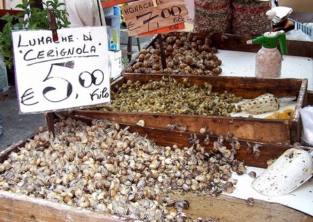フランスの生のエスカルゴ売り場の光景