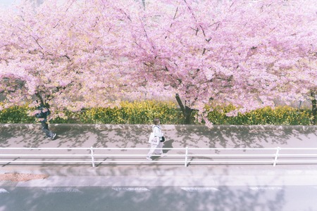 朝の散歩気持ち良すぎだろ！！