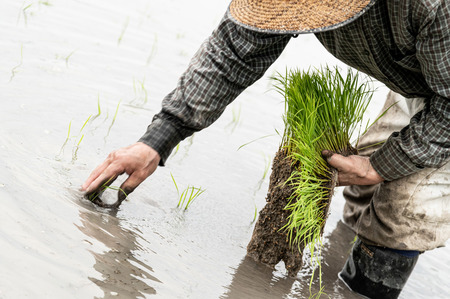 農水省「米価格１年で２倍じゃ足んねー二度とテメーら庶民が食えないようにもっと減産して価格ぶち上げたるわｗｗｗｗｗｗｗｗｗｗｗｗｗ」